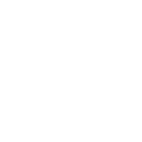 Logo-footer-3