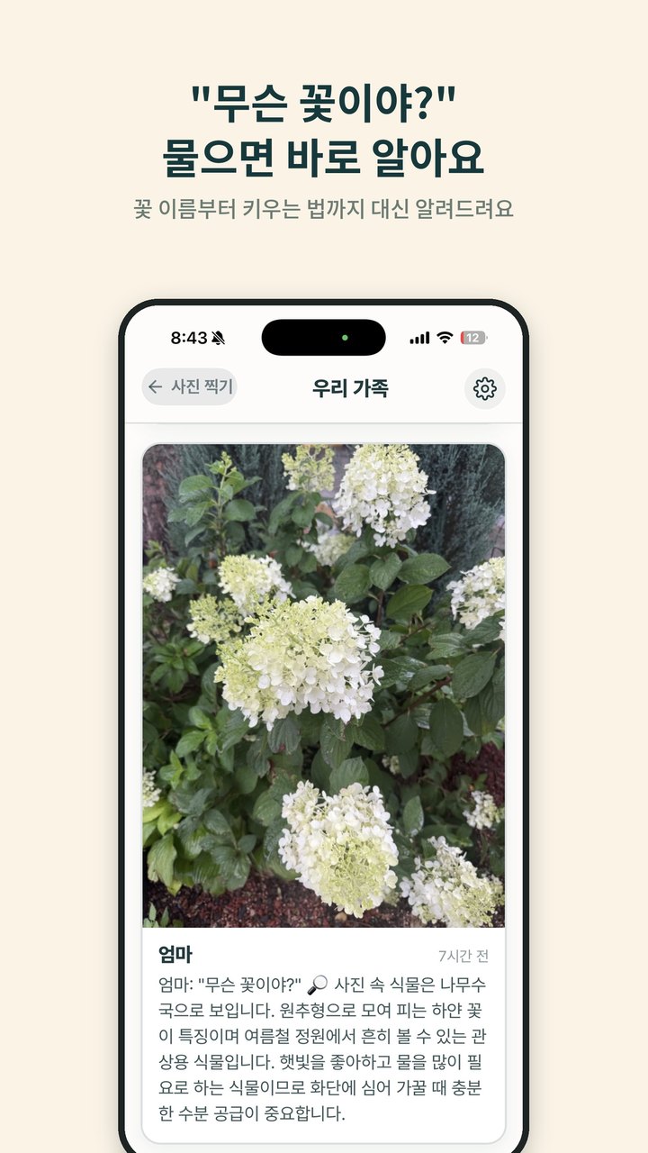 엄마의 사진 앱에서 꽃 이름을 물으면 AI가 알려주는 화면