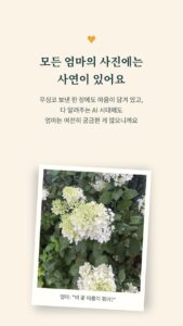 엄마의 사진 앱 &mdash; 시니어를 위한 가장 쉬운 사진 앱